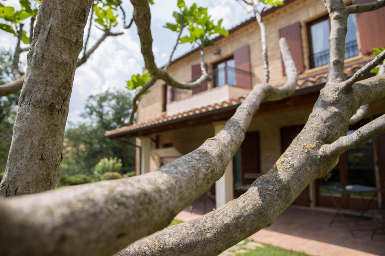 Casa Di Mi Bed & Breakfast Serrungarina Exterior photo